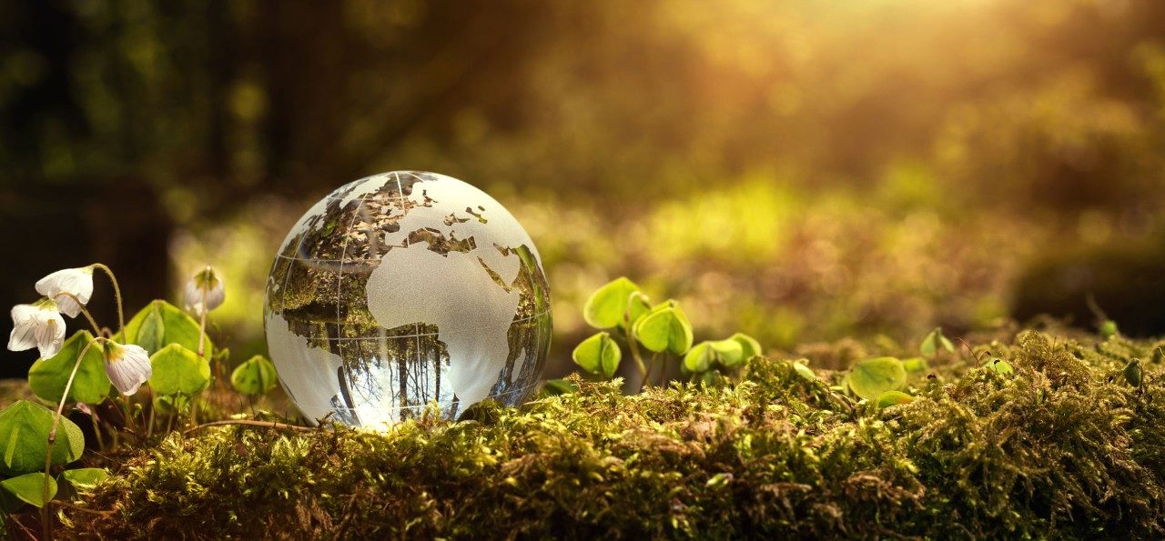 sustainably supply chain